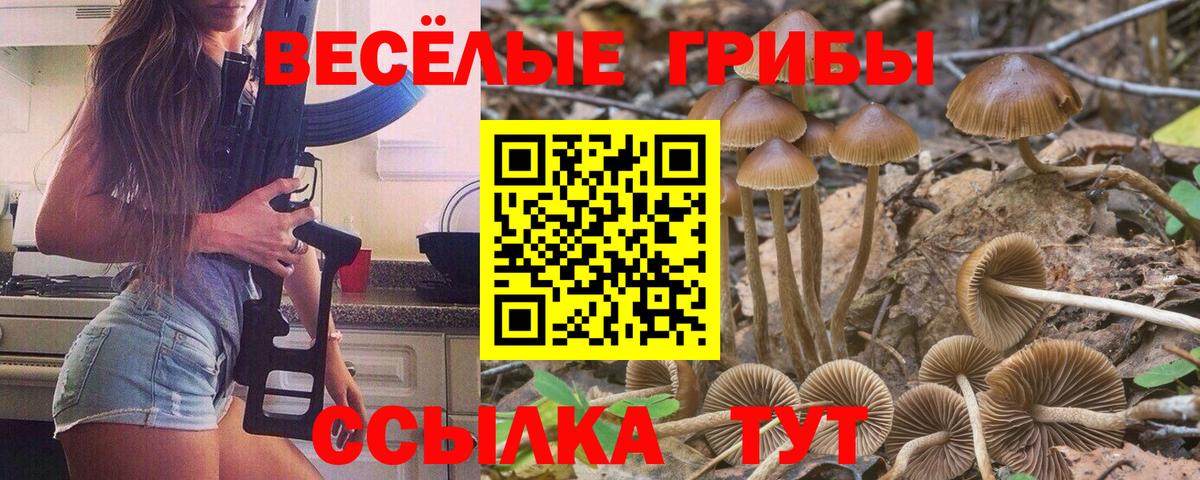 Краснокаменск  Галлюциногенные грибы Psilocybine cubensis  Псилоцибиновые грибы Magic Shrooms  Вход с VPN 